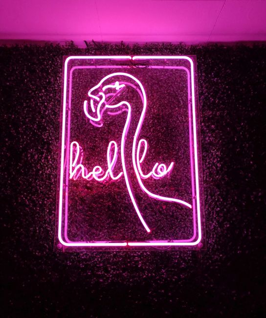 LED neon napis v notranjosti lokala